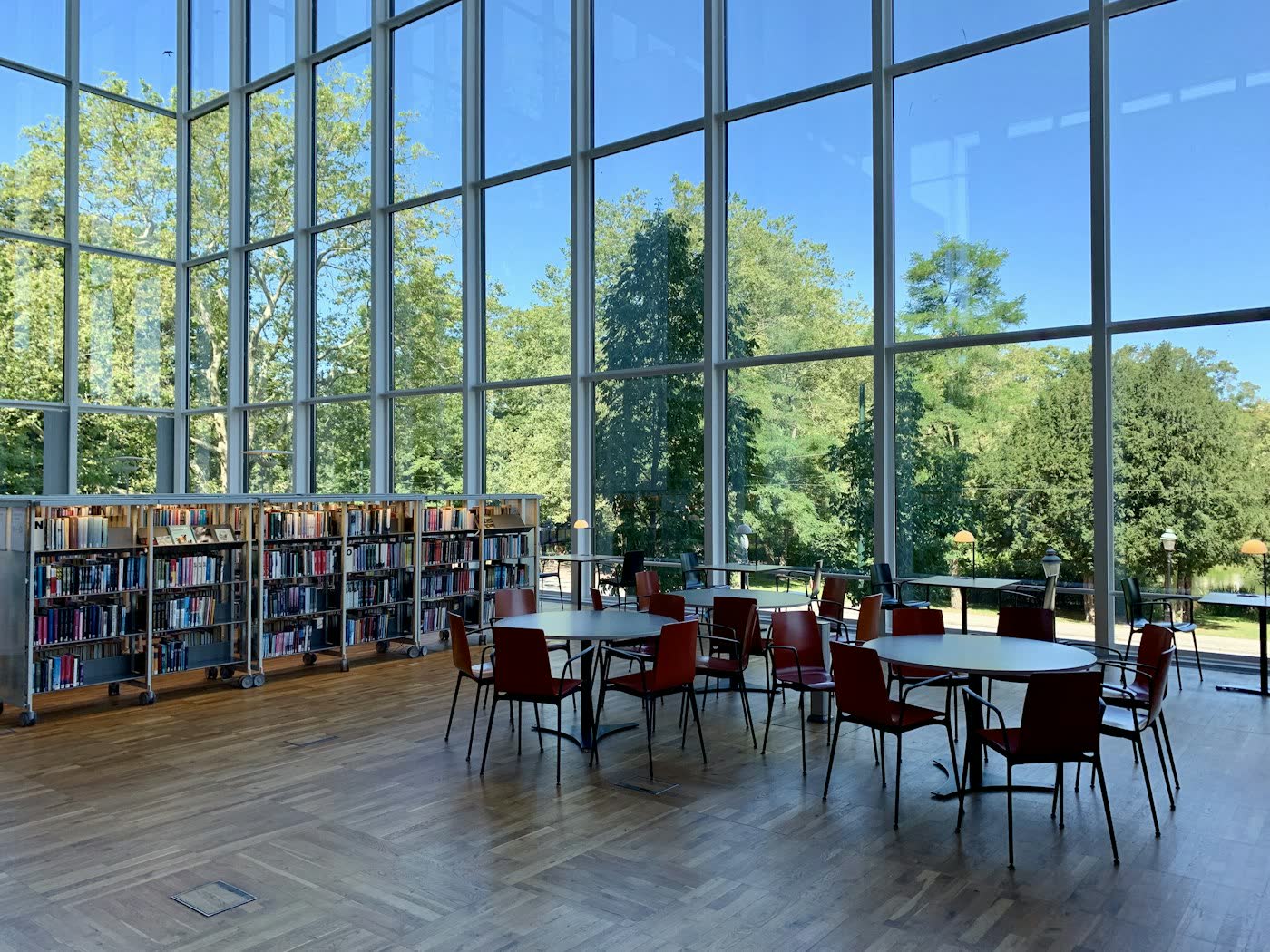 Biblioteca con ventanales y mesas de estudio